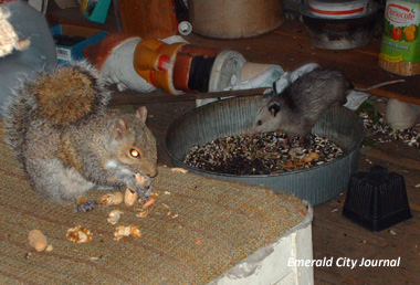 Sneaking into my food and eating Sneaking into my food and eating