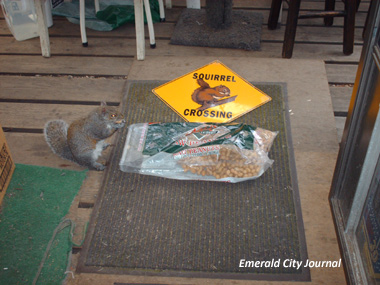 That is a nice bag of peanuts yummy