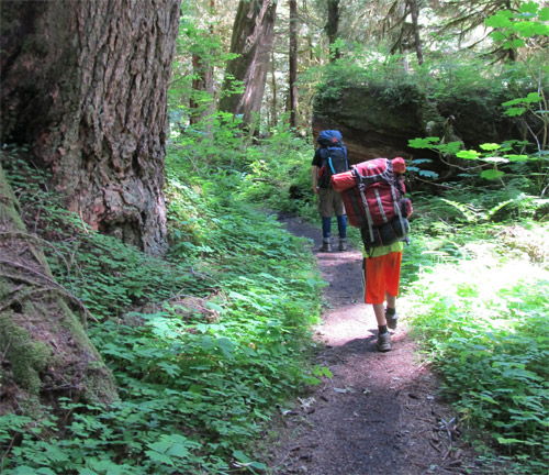 Hiking Enchanted Valley Seattle